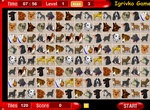 Play Dog Mahjong