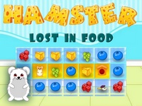 Hamster Lost in Food games